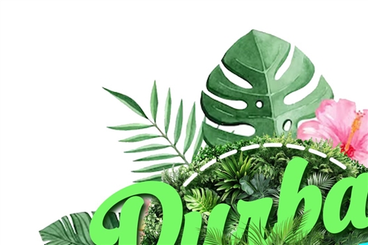 Durban Family Picnic Day Experience