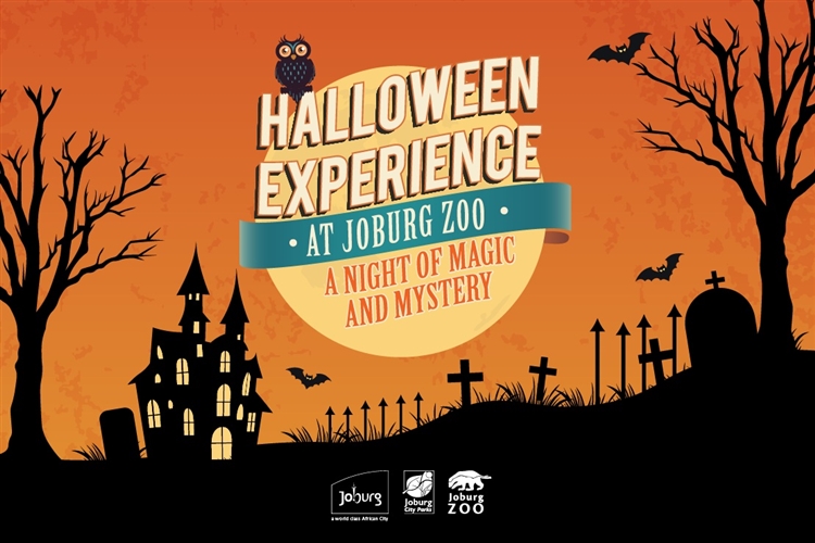 The Halloween Experience at Johannesburg Zoo