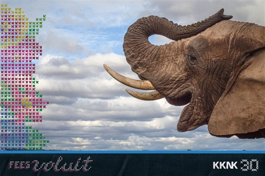 Olifant-en-ontbyt-ervaring