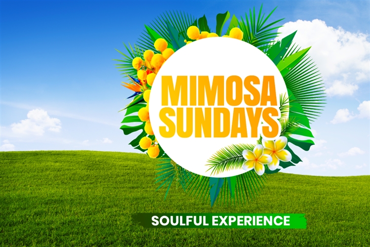 Kota king Mimosa Sundays womens day celebration