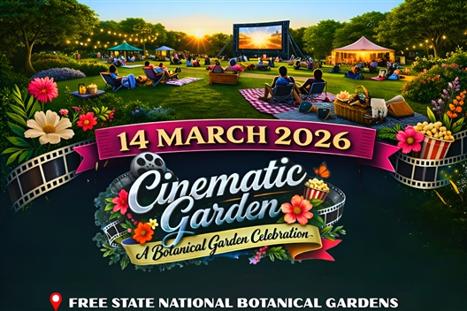 Cinematic Gardens: Opulence Outdoor Cinema