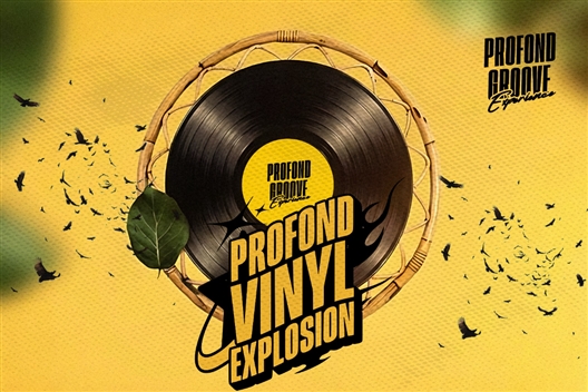 Profond Vinyl Explosion 2026