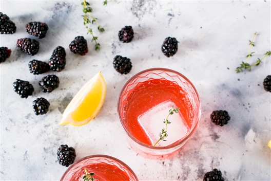 Support Training Club