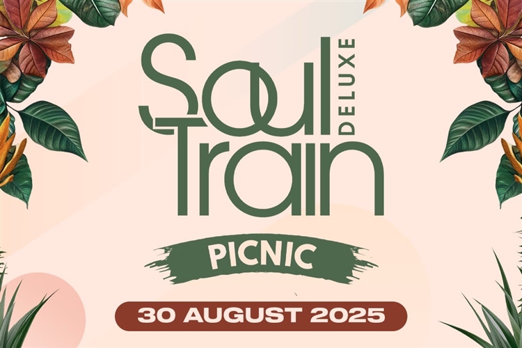 Soul Train Picnic 2025