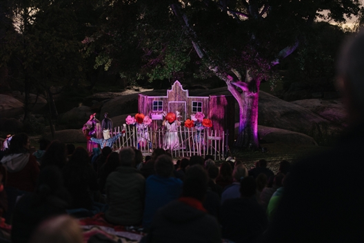 A Summer Dream at Spier