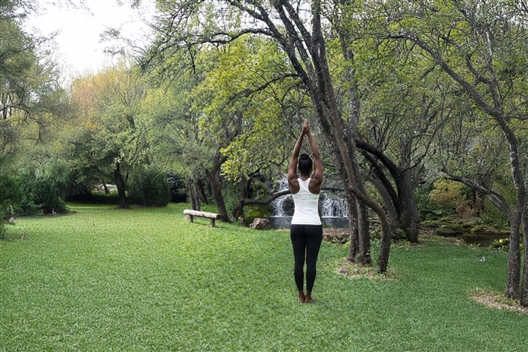 Discover the Power of Yoga. Stille - Where movement meets stillness