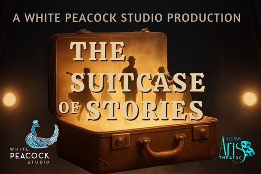 The Suitcase of Stories