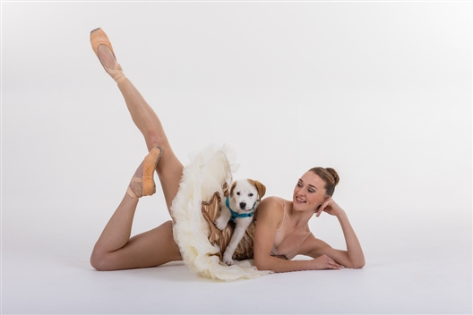 Dancers Love Dog