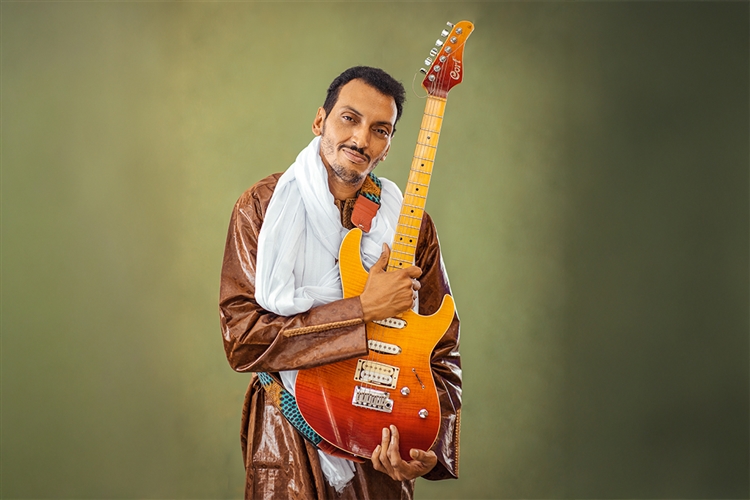 Kirstenbosch Summer Sunset Concerts - Bombino
