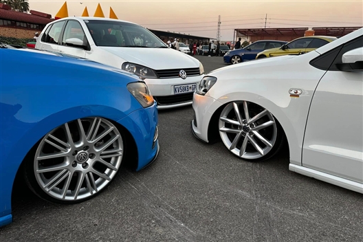 Phb Stance Spring Festive