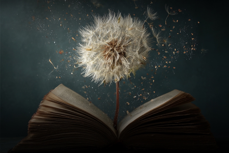 Growth Sessions - November