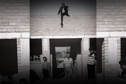 Not with my Gun - MCO